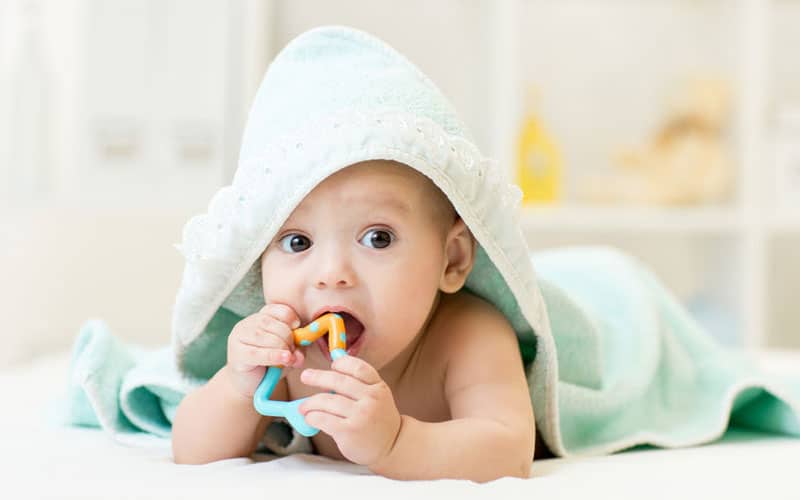 Dental Health for Toddlers